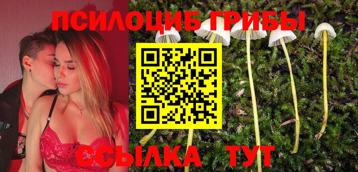 Галлюциногенные грибы мицелий Норильск